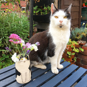 Not Just A Cat...