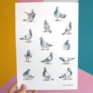 Pigeons, Pigeons, Pigeons A4 Print by Emma Woodthorpe
