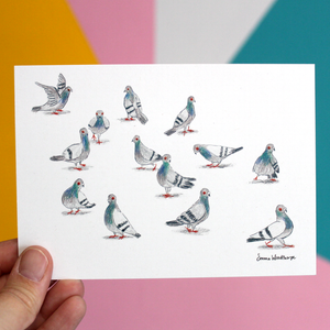 Pigeons Pigeons Pigeons Postcard by Emma Woodthorpe