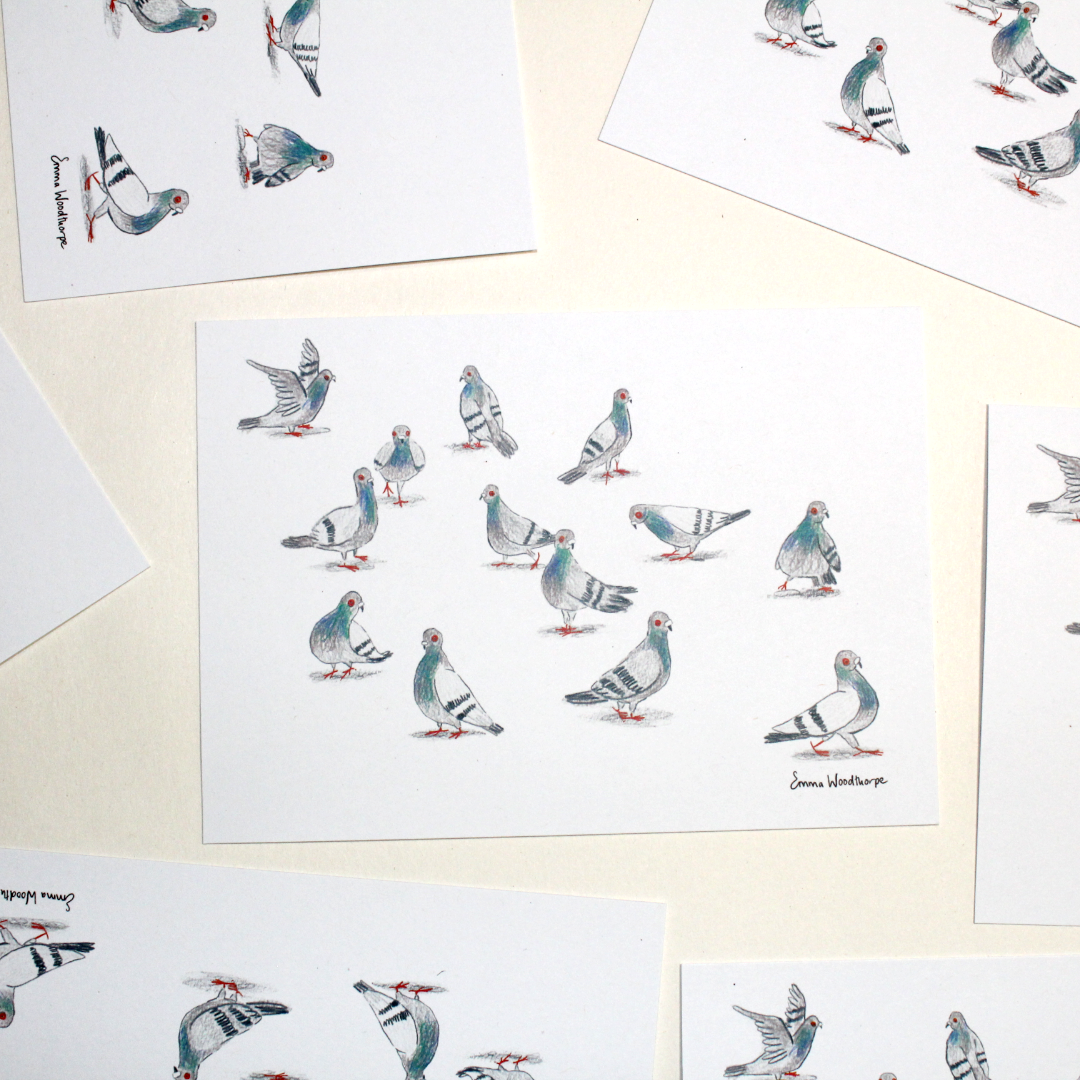 Pigeons Pigeons Pigeons Postcard by Emma Woodthorpe