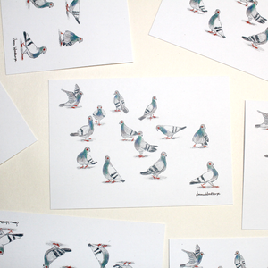 Pigeons Pigeons Pigeons Postcard by Emma Woodthorpe