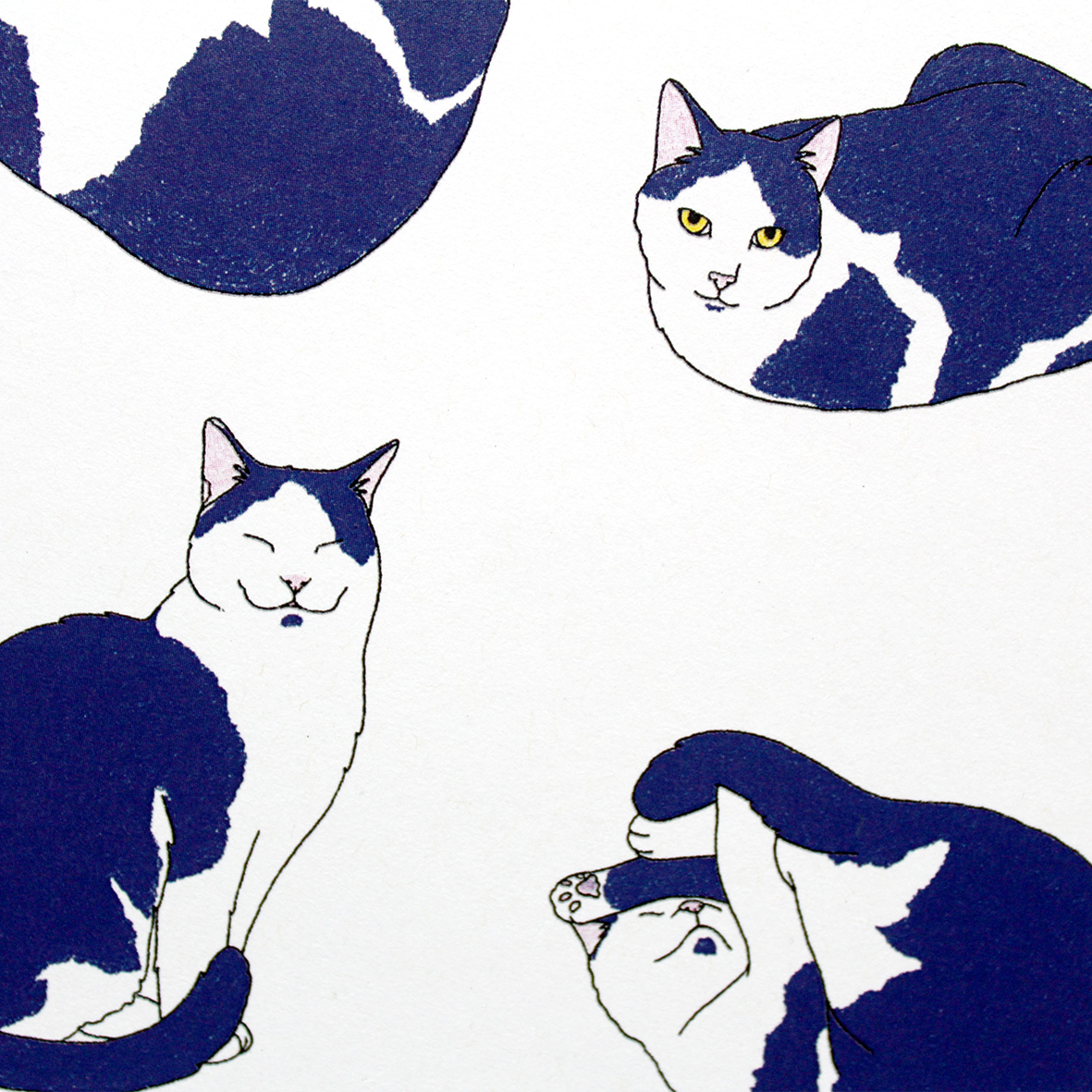 Nine Lives Cats Square Art Print