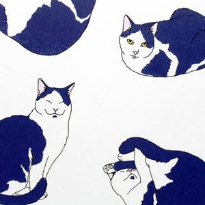 Nine Lives Cats Square Art Print